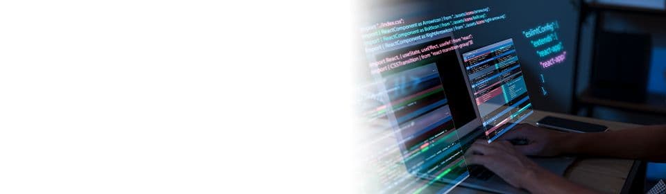 The Top 5 Programming Languages